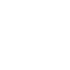 Success Icon