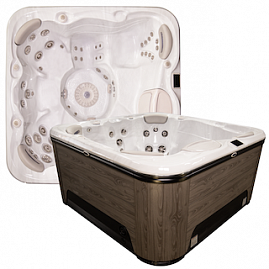 Спа бассейн Hydropool Signature 655 Gold